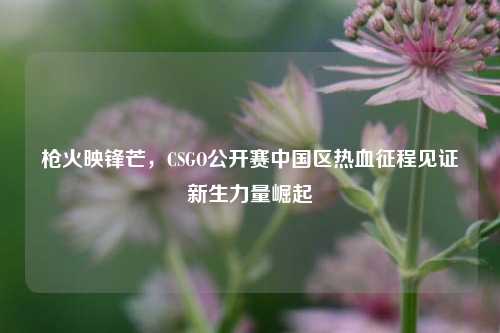 枪火映锋芒,CSGO公开赛中国区热血征程见证新生力量崛起
