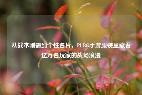 从战术刚需到个性名片,PUBG手游服装里藏着亿万名玩家的战场浪漫
