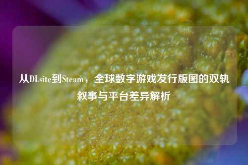 从DLsite到Steam,全球数字游戏发行版图的双轨叙事与平台差异解析