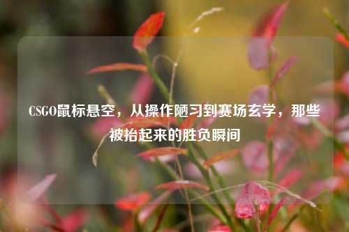 CSGO鼠标悬空,从操作陋习到赛场玄学,那些被抬起来的胜负瞬间