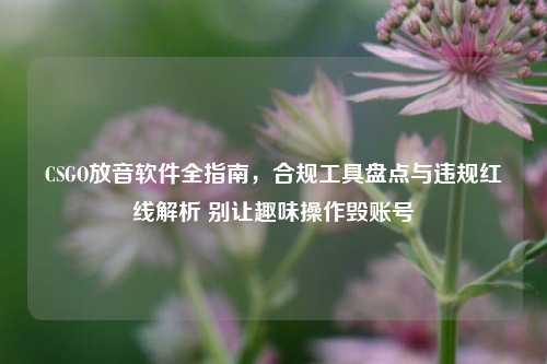 CSGO放音软件全指南，合规工具盘点与违规红线解析 别让趣味操作毁账号
