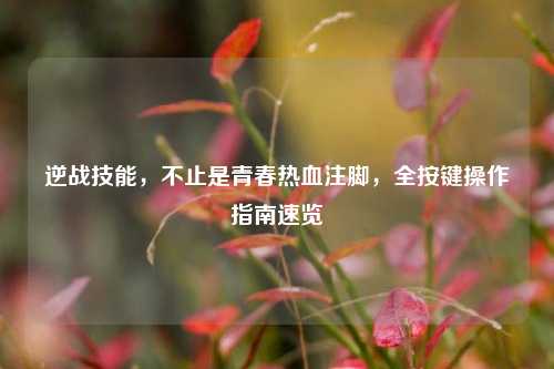 逆战技能,不止是青春热血注脚,全按键操作指南速览