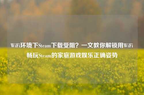 WiFi环境下Steam下载受阻？一文教你解锁用WiFi畅玩Steam的家庭游戏娱乐正确姿势