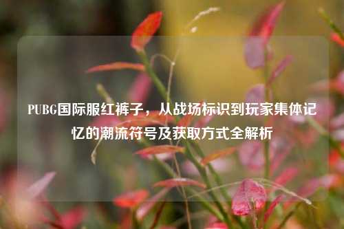 PUBG国际服红裤子，从战场标识到玩家集体记忆的潮流符号及获取方式全解析