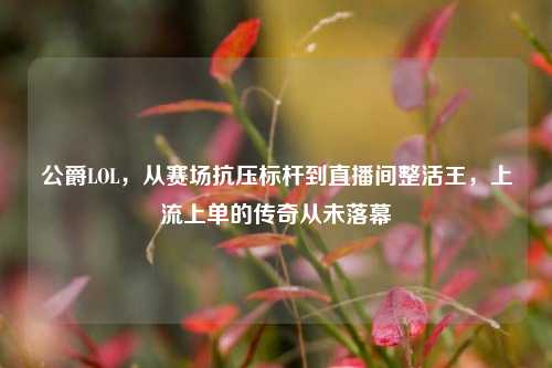 公爵LOL，从赛场抗压标杆到直播间整活王，上流上单的传奇从未落幕