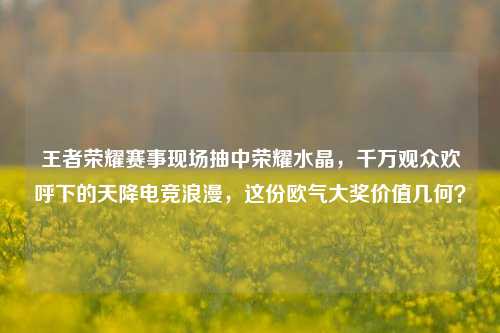 王者荣耀赛事现场抽中荣耀水晶，千万观众欢呼下的天降电竞浪漫，这份欧气大奖价值几何？
