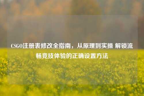 CSGO注册表修改全指南,从原理到实操 解锁流畅竞技体验的正确设置方法