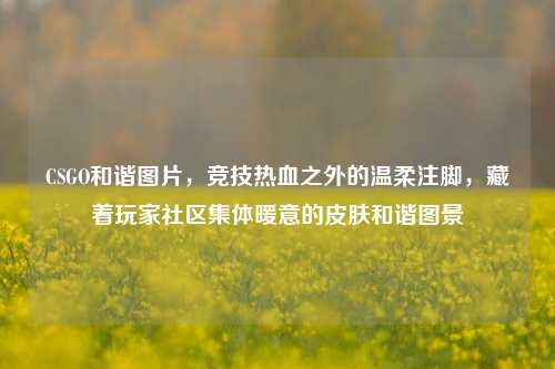 CSGO和谐图片，竞技热血之外的温柔注脚，藏着玩家社区集体暖意的皮肤和谐图景