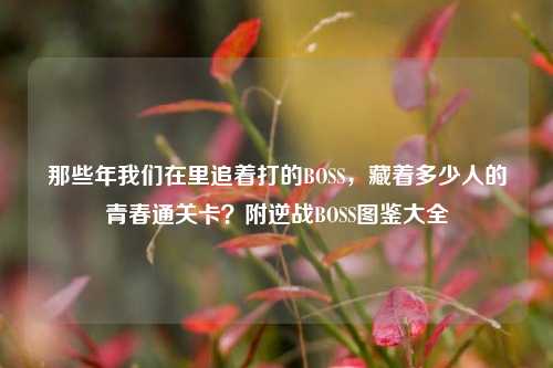 那些年我们在里追着打的BOSS，藏着多少人的青春通关卡？附逆战BOSS图鉴大全