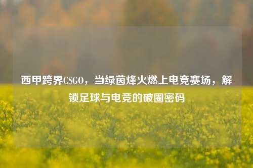 西甲跨界CSGO,当绿茵烽火燃上电竞赛场,解锁足球与电竞的破圈密码