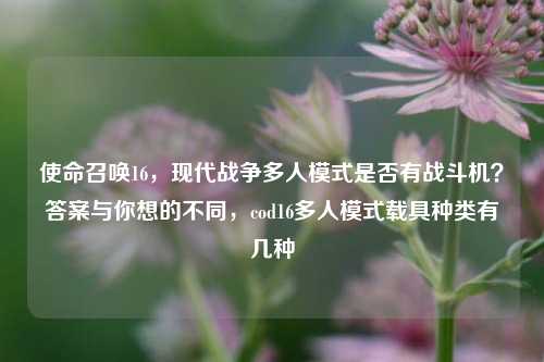 使命召唤16,现代战争多人模式是否有战斗机?答案与你想的不同,cod16多人模式载具种类有几种