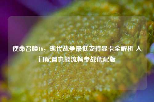 使命召唤16，现代战争最低支持显卡全解析 入门配置也能流畅参战低配版