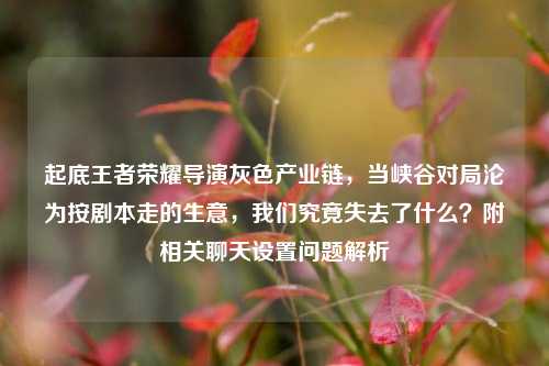 起底王者荣耀导演灰色产业链，当峡谷对局沦为按剧本走的生意，我们究竟失去了什么？附相关聊天设置问题解析