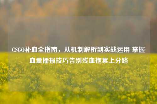 CSGO补血全指南,从机制解析到实战运用 掌握血量播报技巧告别残血拖累上分路