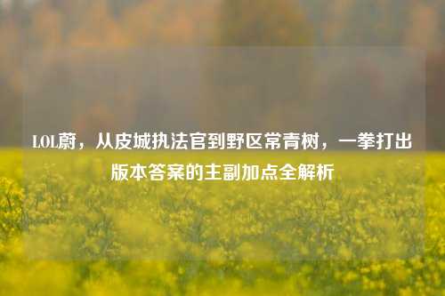 LOL蔚,从皮城执法官到野区常青树,一拳打出版本答案的主副加点全解析