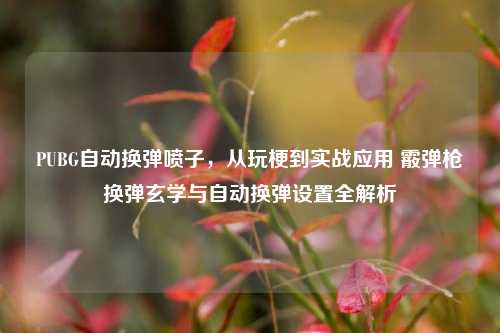 PUBG自动换弹喷子,从玩梗到实战应用 霰弹枪换弹玄学与自动换弹设置全解析