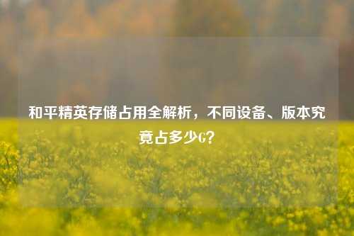 和平精英存储占用全解析,不同设备、版本究竟占多少G?