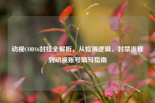 动视COD16封挂全解析,从检测逻辑、封禁流程到动视账号填写指南