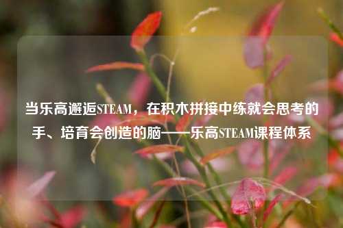 当乐高邂逅STEAM,在积木拼接中练就会思考的手、培育会创造的脑——乐高STEAM课程体系