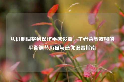 从机制调整到操作手感设置,王者荣耀露娜的平衡调节历程与最优设置指南