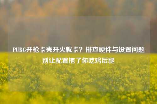 PUBG开枪卡壳开火就卡?排查硬件与设置问题别让配置拖了你吃鸡后腿