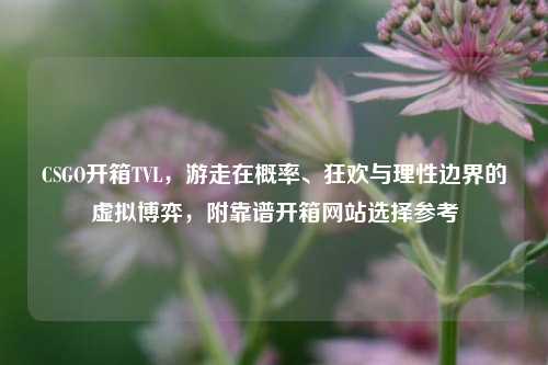 CSGO开箱TVL,游走在概率、狂欢与理性边界的虚拟博弈,附靠谱开箱网站选择参考