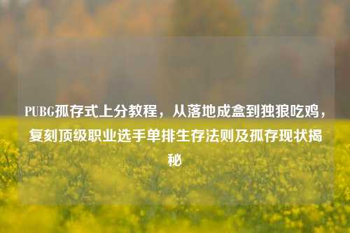 PUBG孤存式上分教程，从落地成盒到独狼吃鸡，复刻顶级职业选手单排生存法则及孤存现状揭秘