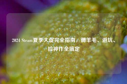 2024 Steam夏季大促完全指南,薅羊毛、避坑、捡神作全搞定