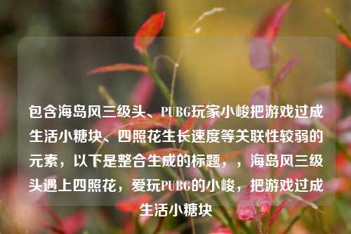 包含海岛风三级头、PUBG玩家小峻把游戏过成生活小糖块、四照花生长速度等关联性较弱的元素，以下是整合生成的标题，，海岛风三级头遇上四照花，爱玩PUBG的小峻，把游戏过成生活小糖块