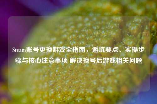 Steam账号更换游戏全指南,避坑要点、实操步骤与核心注意事项 解决换号后游戏相关问题