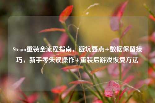 Steam重装全流程指南,避坑要点+数据保留技巧,新手零失误操作+重装后游戏恢复方法