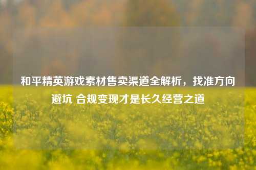和平精英游戏素材售卖渠道全解析,找准方向避坑 合规变现才是长久经营之道