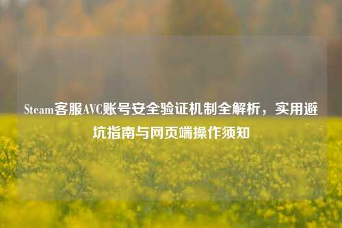 Steam客服AVC账号安全验证机制全解析，实用避坑指南与网页端操作须知