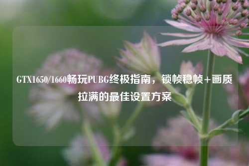 GTX1650/1660畅玩PUBG终极指南，锁帧稳帧+画质拉满的最佳设置方案