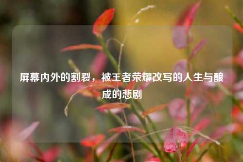 屏幕内外的割裂,被王者荣耀改写的人生与酿成的悲剧