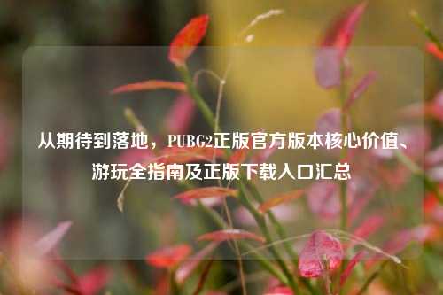 从期待到落地,PUBG2正版官方版本核心价值、游玩全指南及正版下载入口汇总