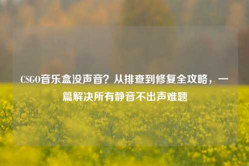 CSGO音乐盒没声音？从排查到修复全攻略，一篇解决所有静音不出声难题