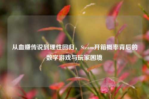 从血赚传说到理性回归,Steam开箱概率背后的数字游戏与玩家困境