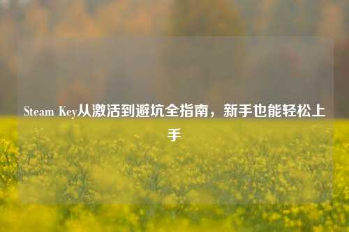 Steam Key从激活到避坑全指南，新手也能轻松上手
