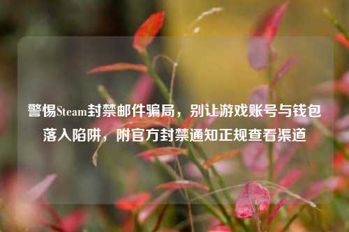 警惕Steam封禁邮件骗局,别让游戏账号与钱包落入陷阱,附官方封禁通知正规查看渠道