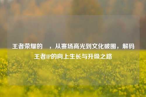 王者荣耀的昇,从赛场高光到文化破圈,解码王者IP的向上生长与升级之路