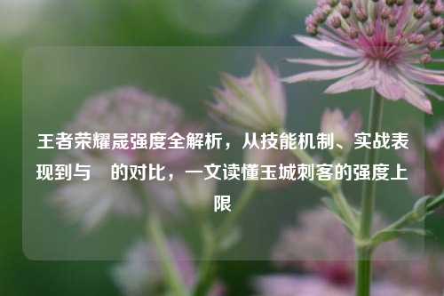 王者荣耀晟强度全解析，从技能机制、实战表现到与暃的对比，一文读懂玉城刺客的强度上限