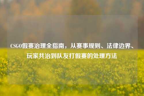 CSGO假赛治理全指南,从赛事规则、法律边界、玩家共治到队友打假赛的处理方法