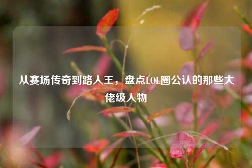从赛场传奇到路人王,盘点LOL圈公认的那些大佬级人物