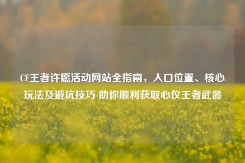 CF王者许愿活动网站全指南,入口位置、核心玩法及避坑技巧 助你顺利获取心仪王者武器