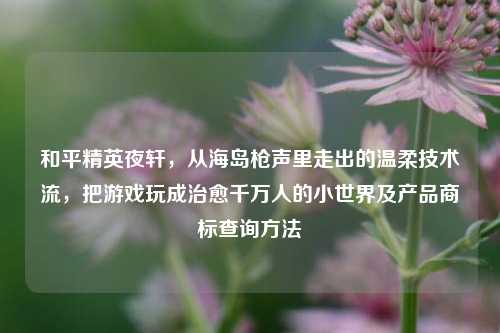 和平精英夜轩,从海岛枪声里走出的温柔技术流,把游戏玩成治愈千万人的小世界及产品商标查询方法