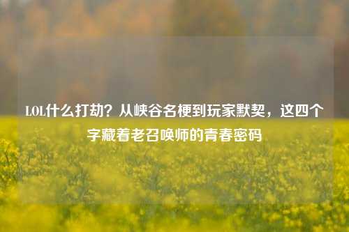 LOL什么打劫?从峡谷名梗到玩家默契,这四个字藏着老召唤师的青春密码