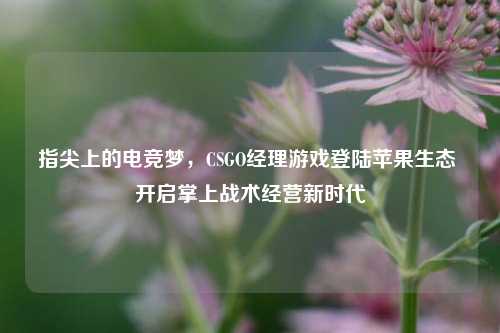 指尖上的电竞梦，CSGO经理游戏登陆苹果生态 开启掌上战术经营新时代