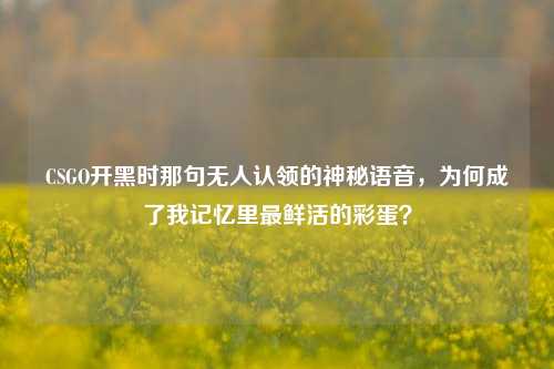 CSGO开黑时那句无人认领的神秘语音,为何成了我记忆里最鲜活的彩蛋?