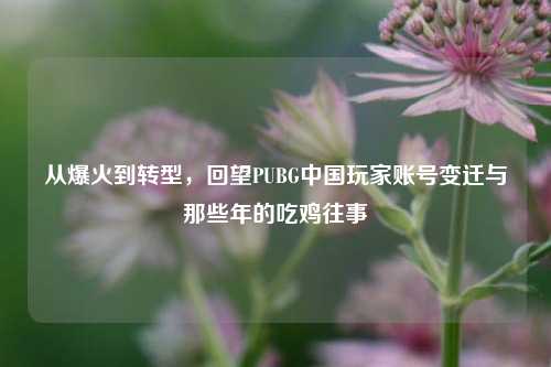 从爆火到转型,回望PUBG中国玩家账号变迁与那些年的吃鸡往事